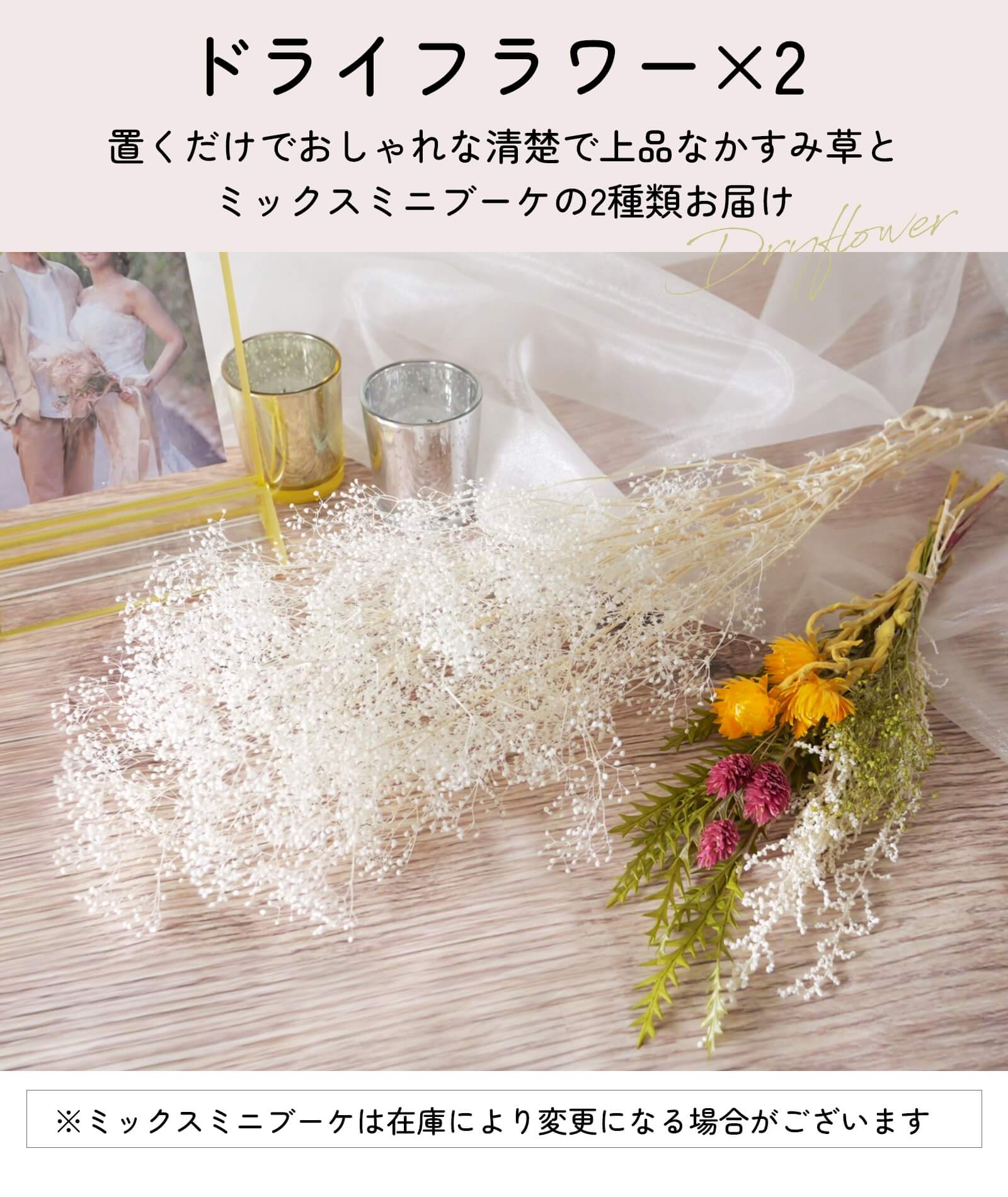 置くだけでおしゃれな清楚で上品なかすみ草＆ミックスミニブーケのドライフラワー2種類