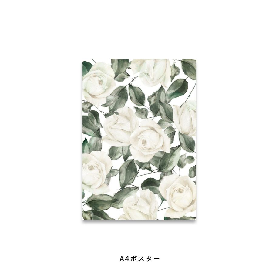アンティーク調の白いバラのポスター
