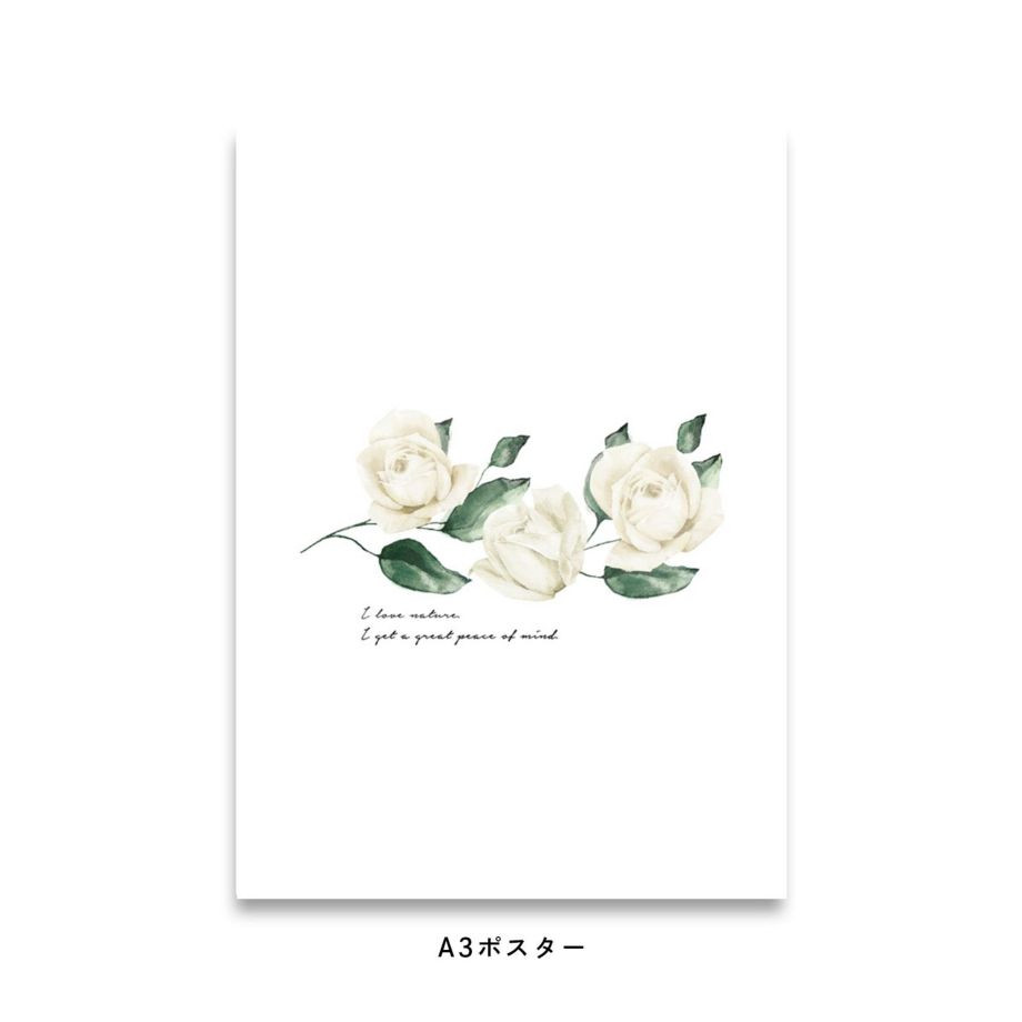アンティーク調の白いバラが3つ並んだポスター