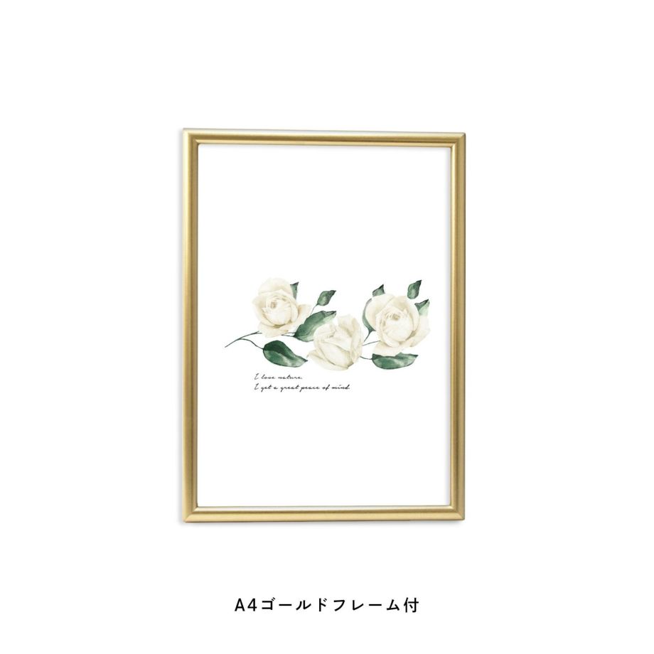 アンティーク調の白いバラが3つ並んだフレーム付ポスター