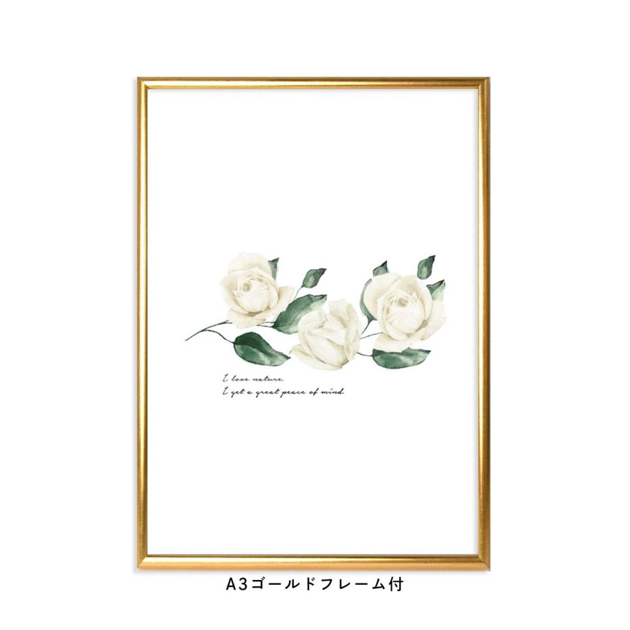 アンティーク調の白いバラが3つ並んだフレーム付ポスター