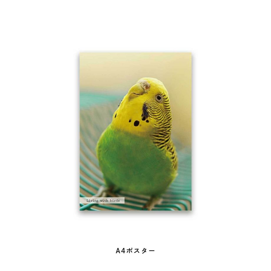 大好きなペット・鳥の写真でつくるフォトポスター