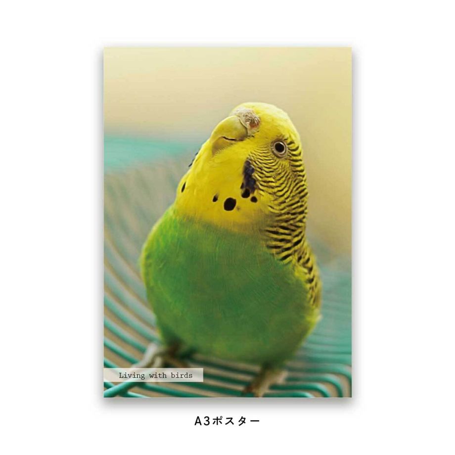 大好きなペット・鳥の写真でつくるフォトポスター