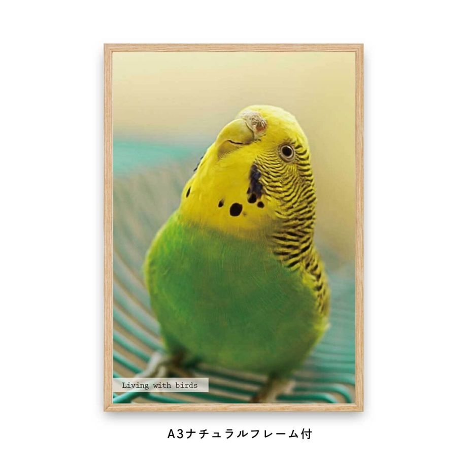 大好きなペット・鳥の写真でつくるフレーム付フォトポスター