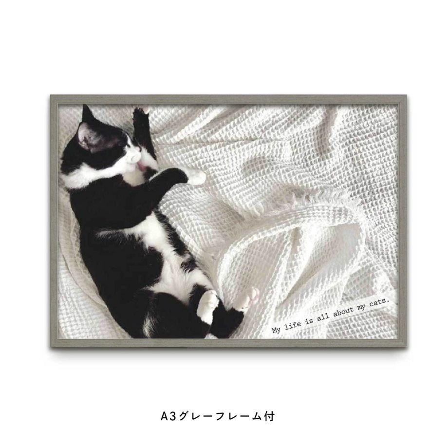 大好きなペット・ネコの写真でつくるフレーム付フォトポスター