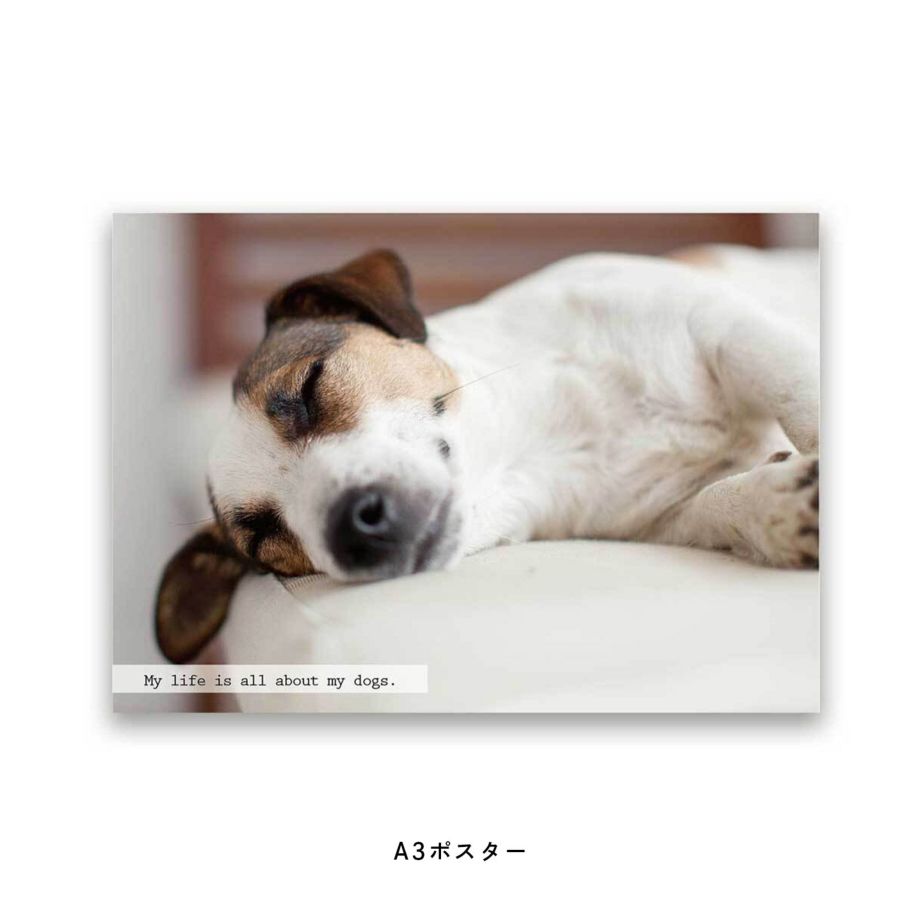 大好きなペット・犬の写真でつくるフォトポスター