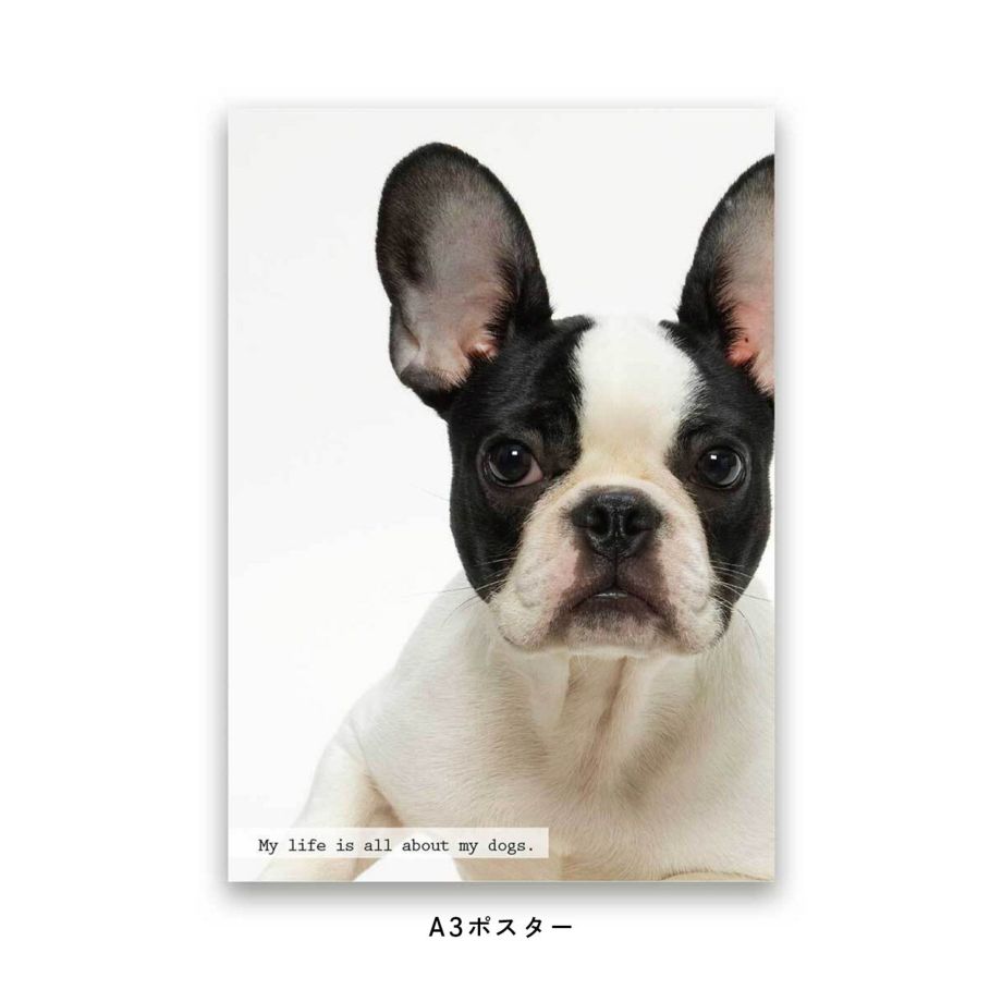 大好きなペット・犬の写真でつくるフォトポスター