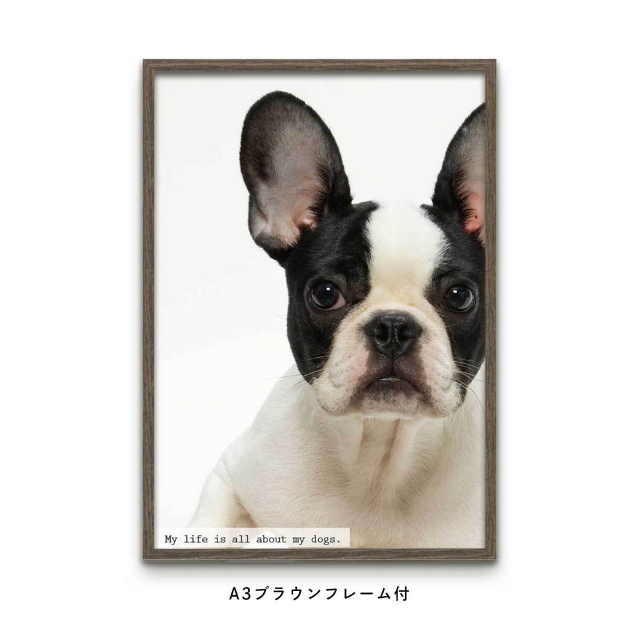 大好きなペット・犬の写真でつくるフレーム付フォトポスター