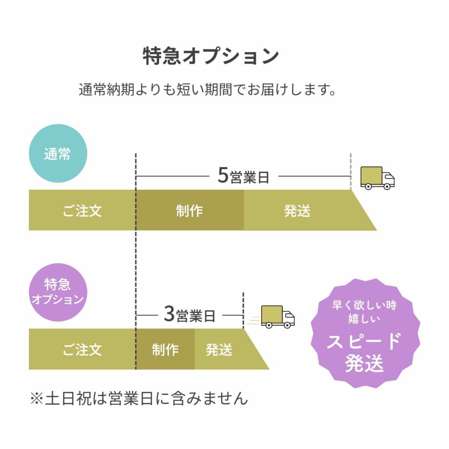 特急オプションについて