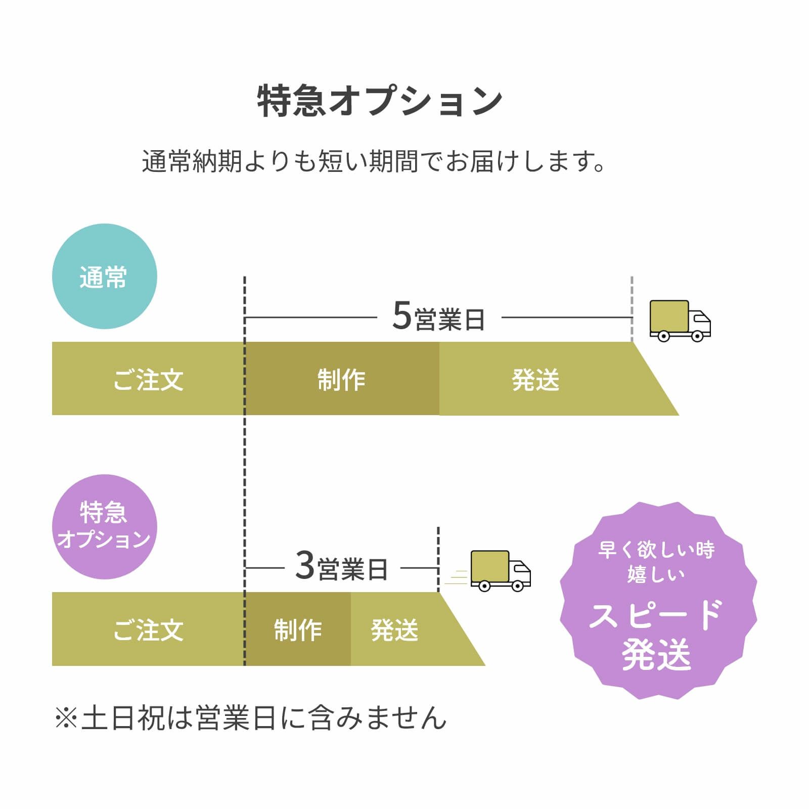 特急オプションについて