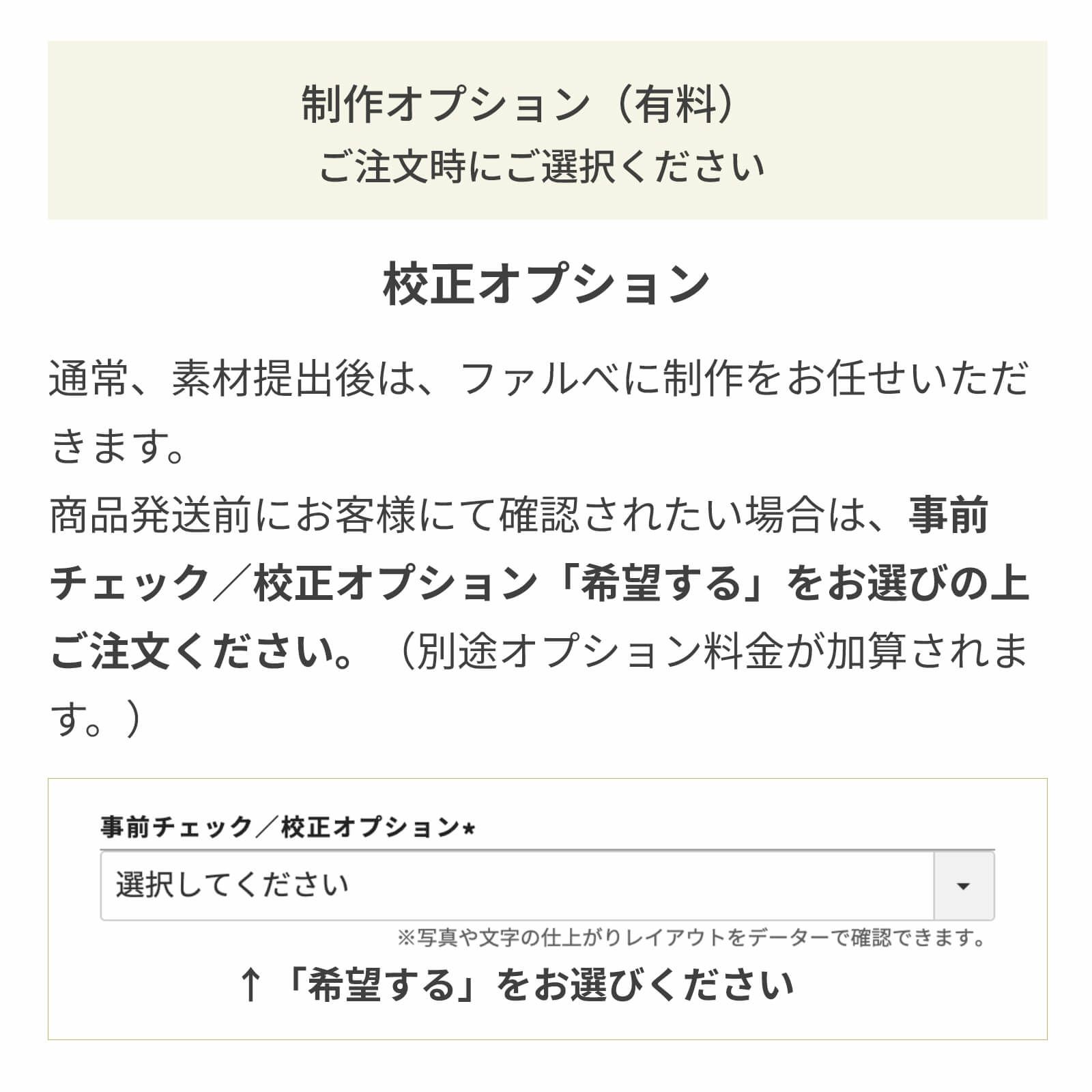 校正オプションについて