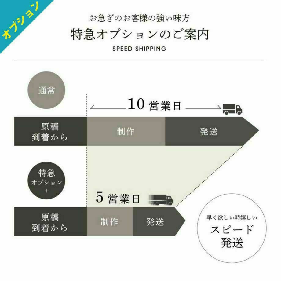 特急オプションのご案内