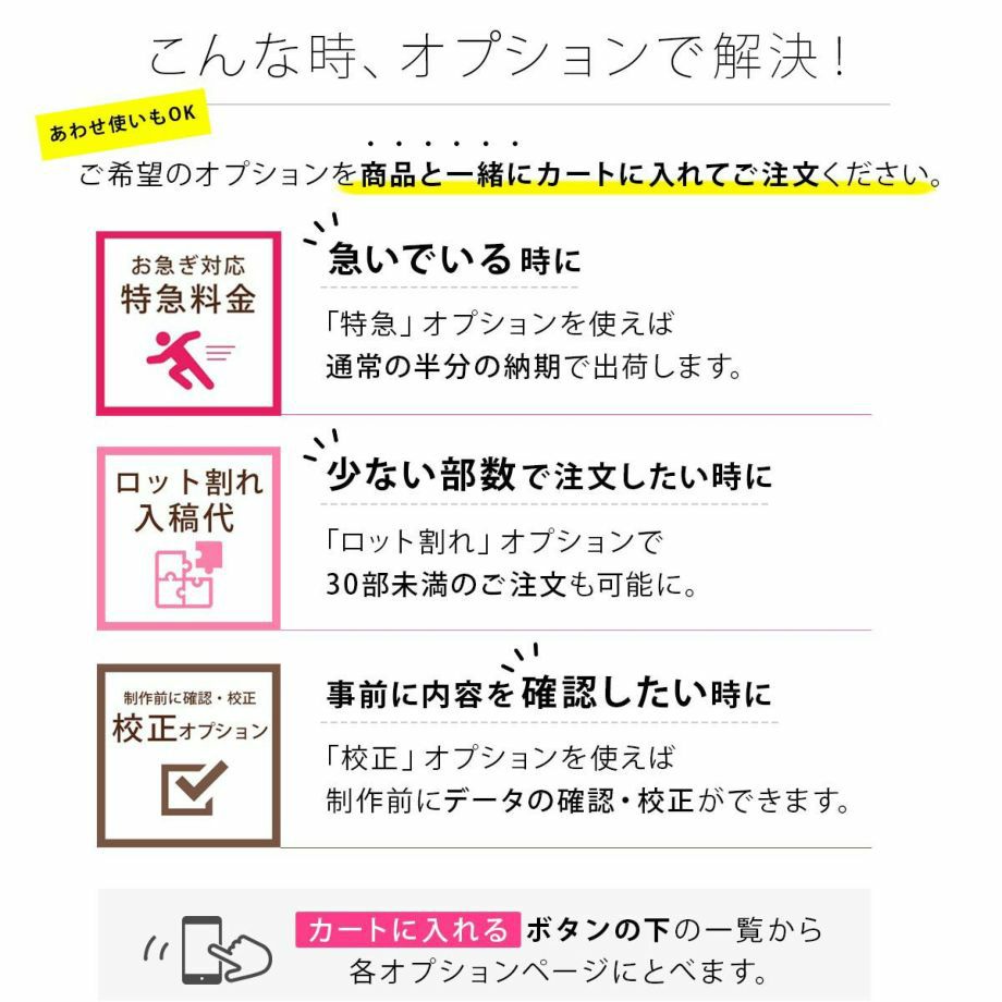 オプションのご案内