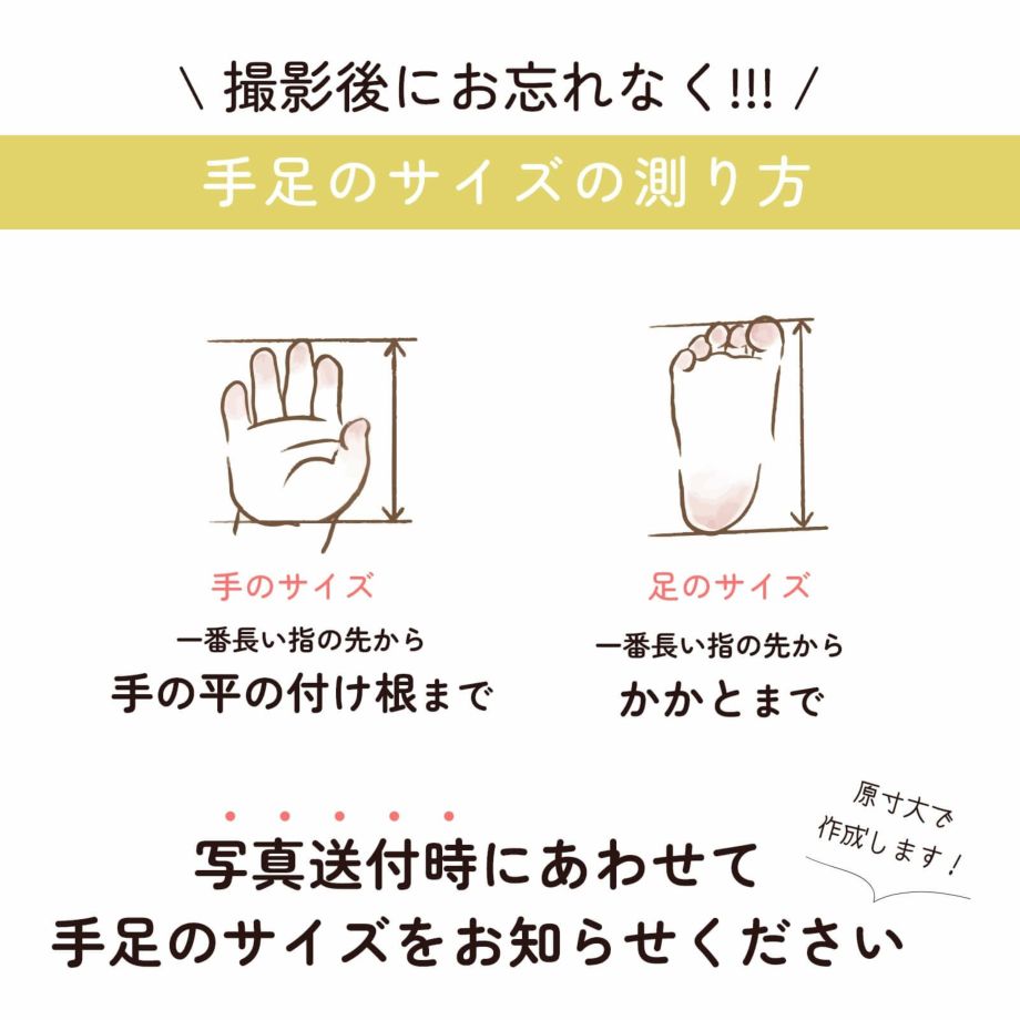 撮影後にお忘れなく手足のサイズの測り方