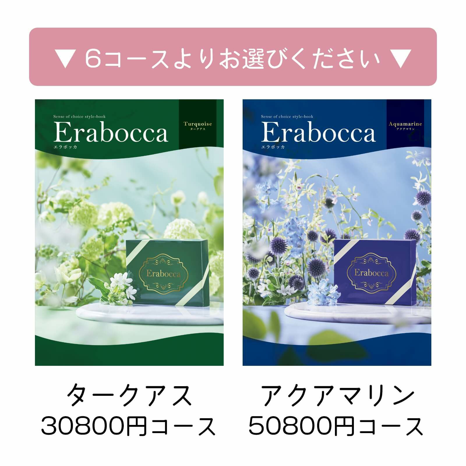 6コースよりお選びください／タークアス30800円コース、アクアマリン50800円コース