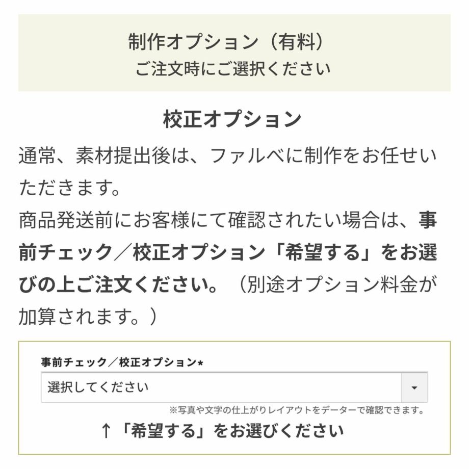 制作オプション（有料）