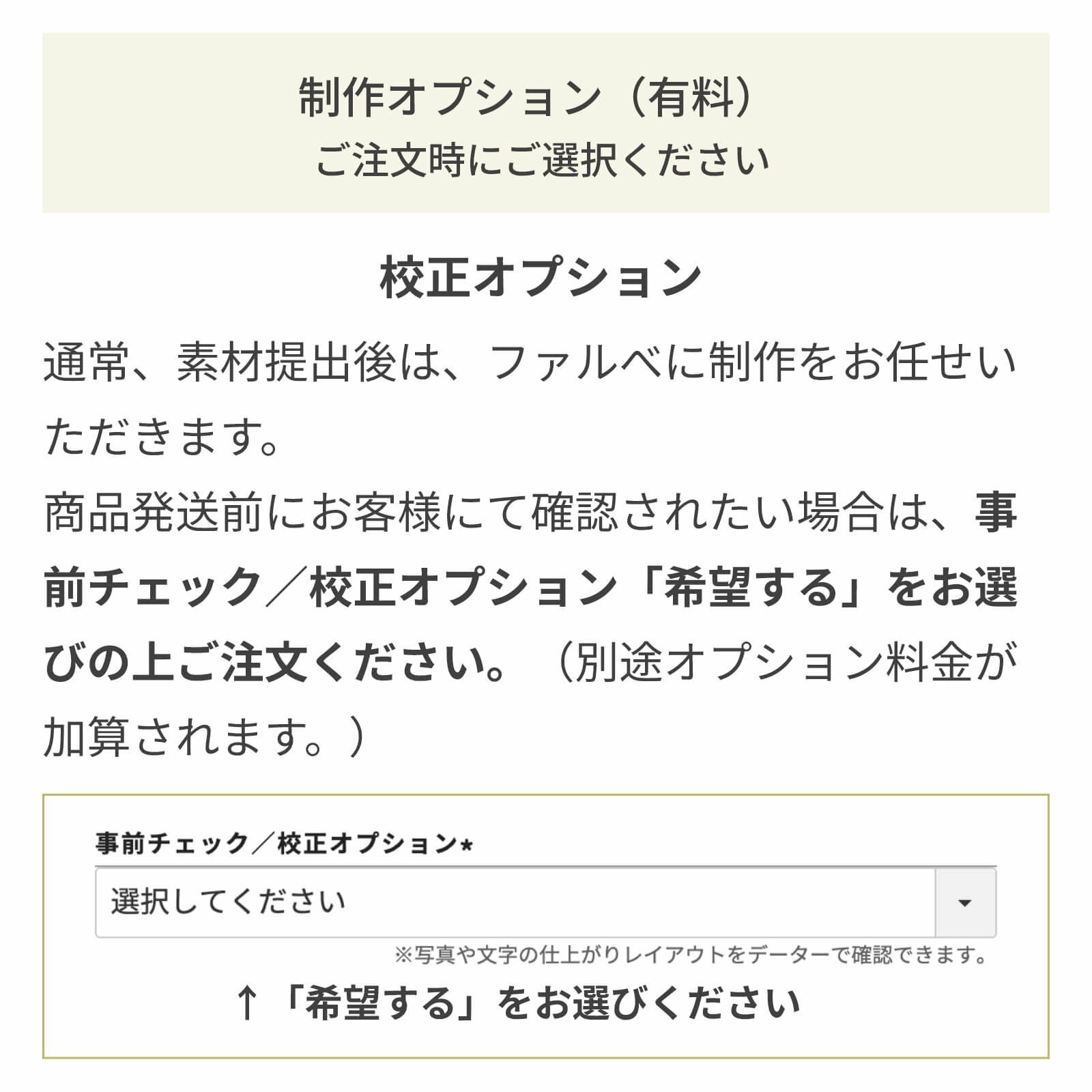 校正オプションについて