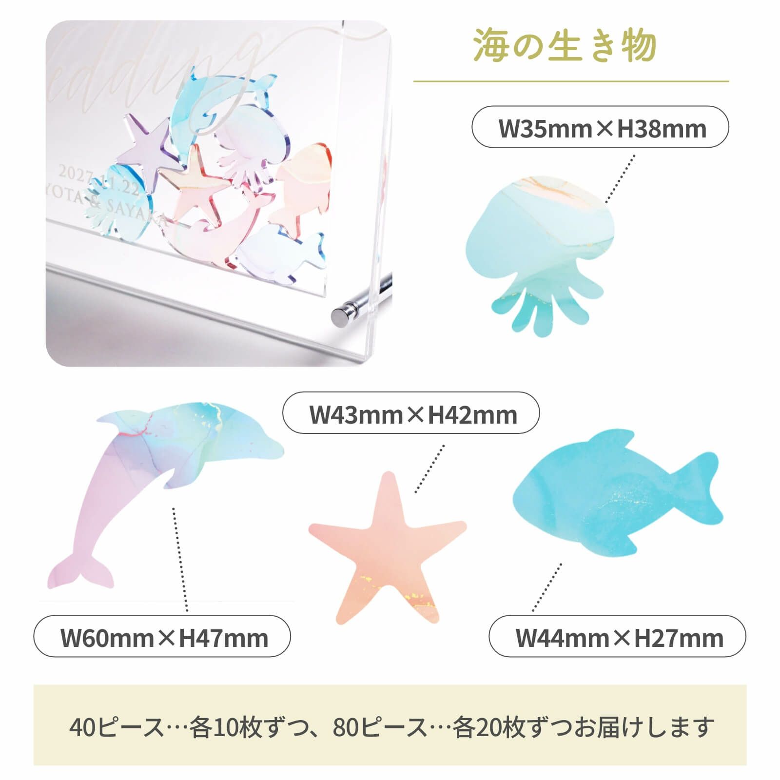 イルカ、クラゲ、ヒトデ、サカナ海の生き物のサイズ詳細