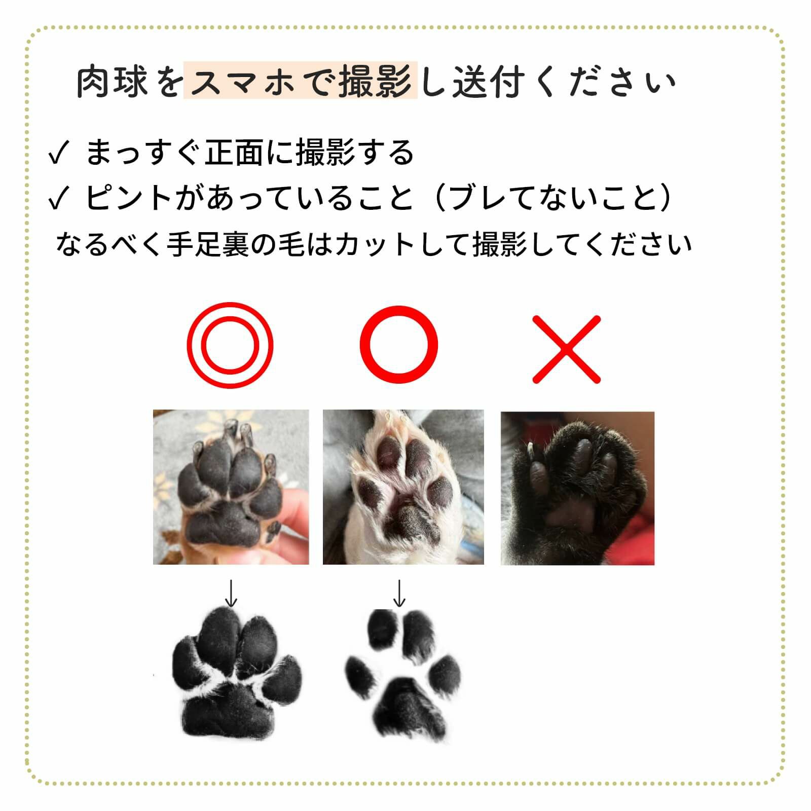 肉球をスマホで撮影し送付