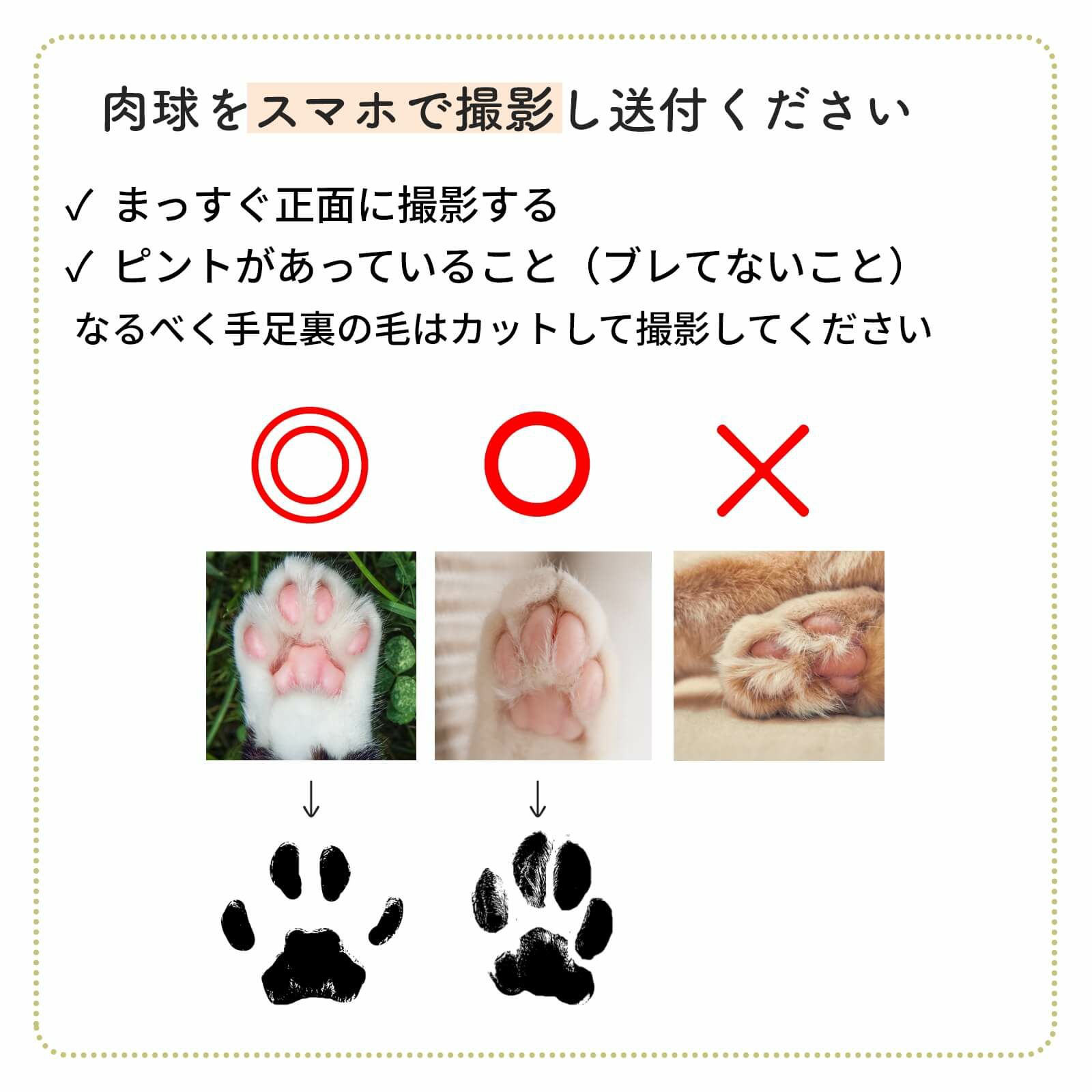 肉球をスマホで撮影し送付
