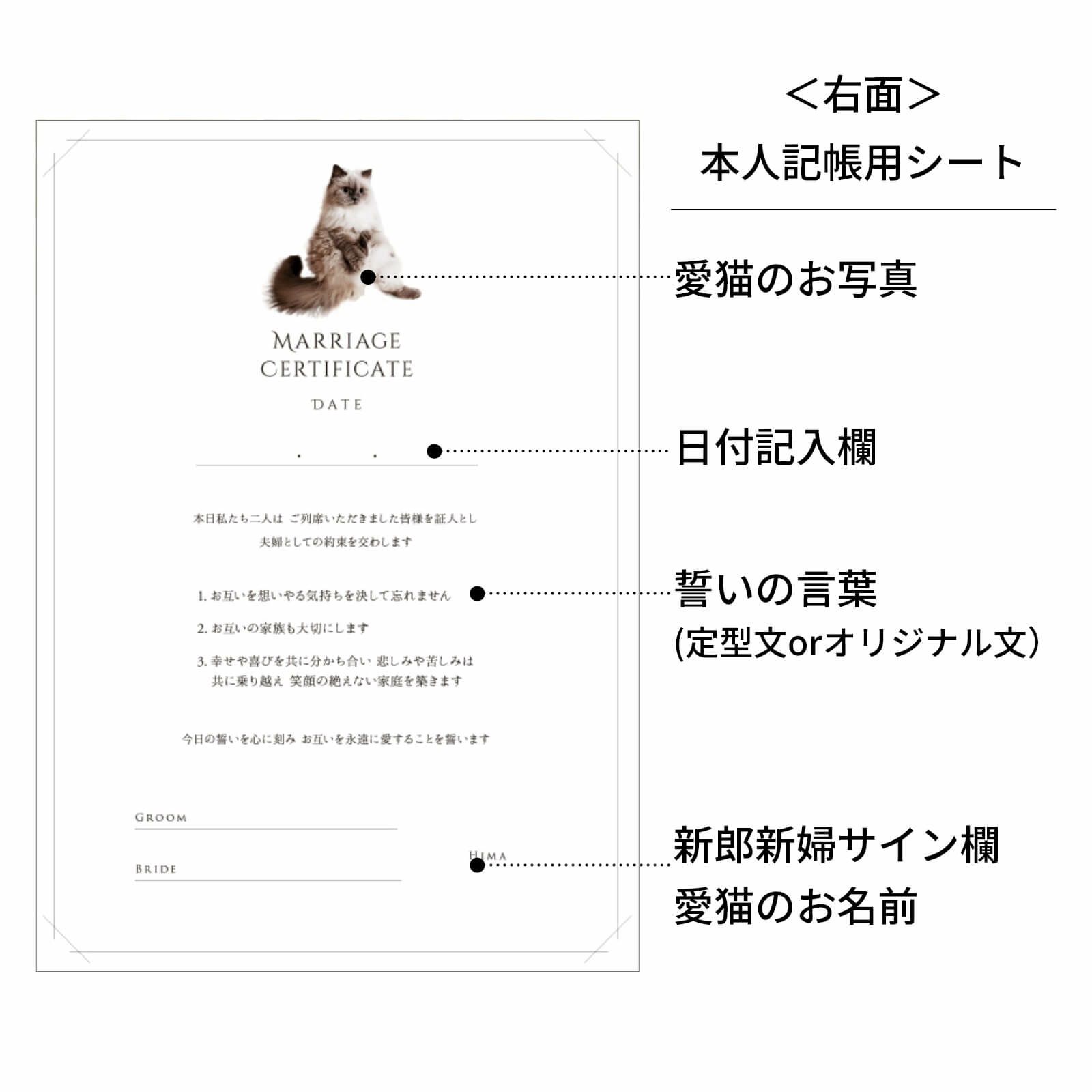 ＜右面＞本人記帳用シートについて