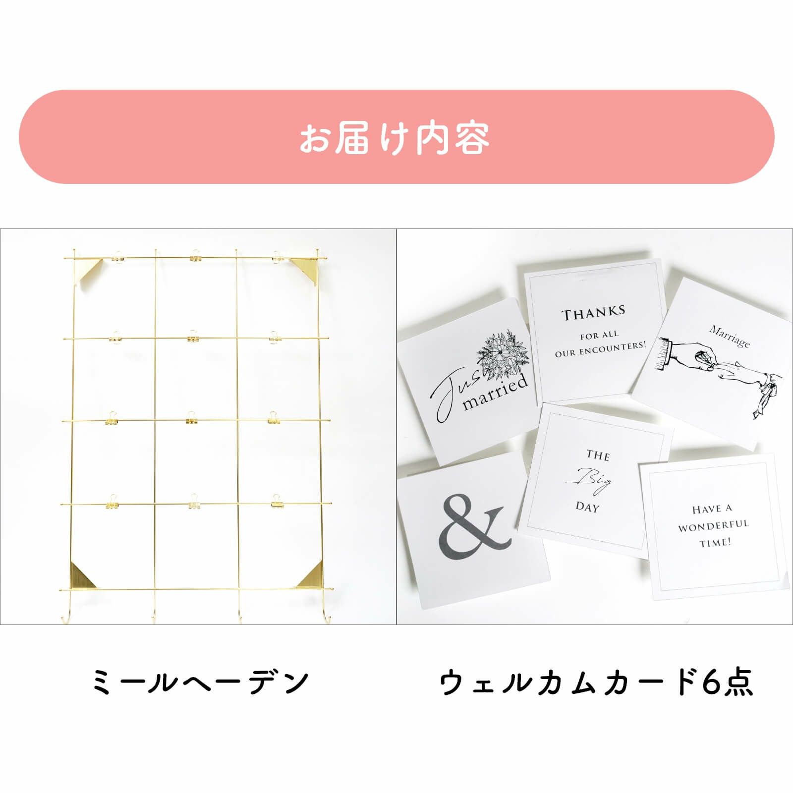 追加オプションお届け内容
